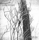 Aaen Anima : Madhin - Køídla Propasti Svìta